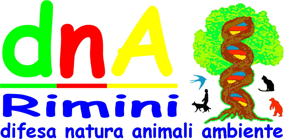 logo dnA Rimini